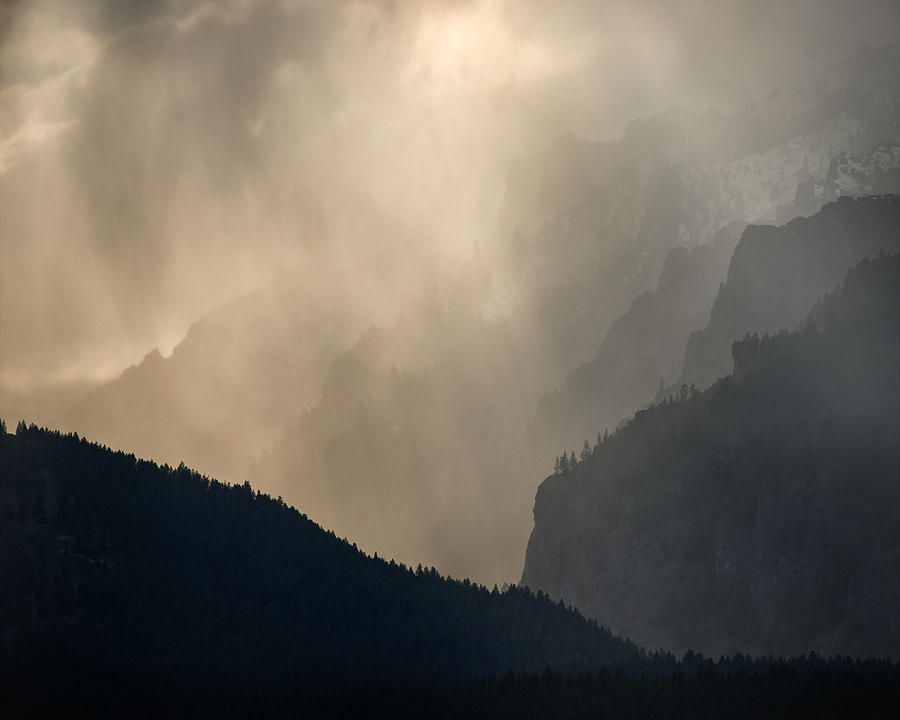 Winter Photograph - Blodgett Canyon Spring Rain by Matt Hammerstein