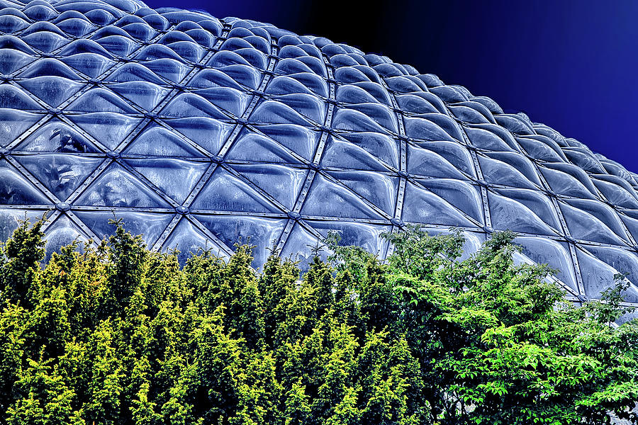 Bloedel Floral Conservatory Photograph by Anthony M Davis