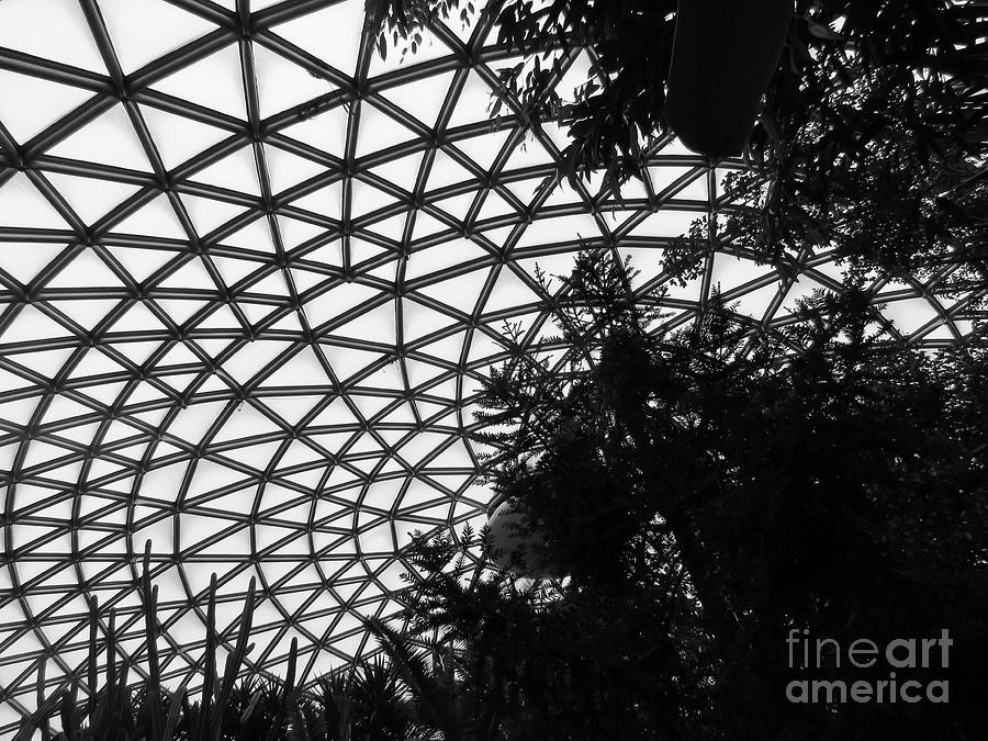 Bloedel Roof Photograph by Mary Mikawoz