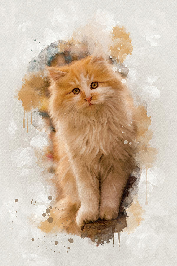 Blonde Kitty Digital Art by Mary Timman