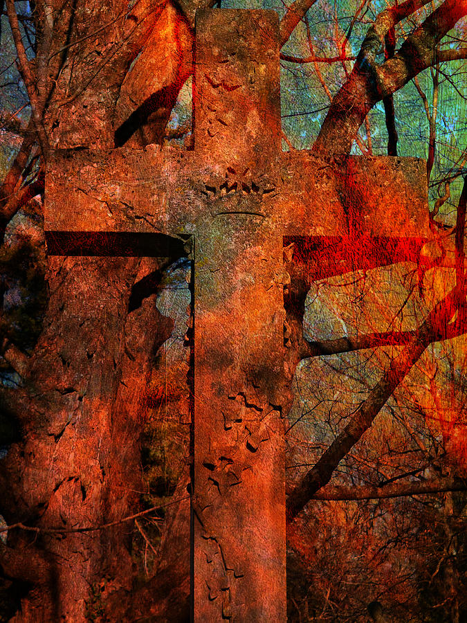 Blood Cross Photograph by Mike McBrayer