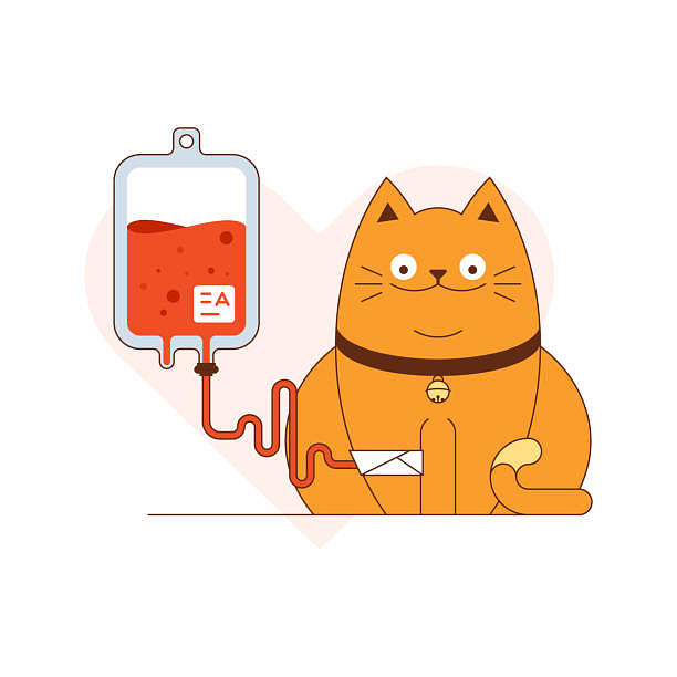 Blood donation for cats vector illustration Mixed Media by Pets And
