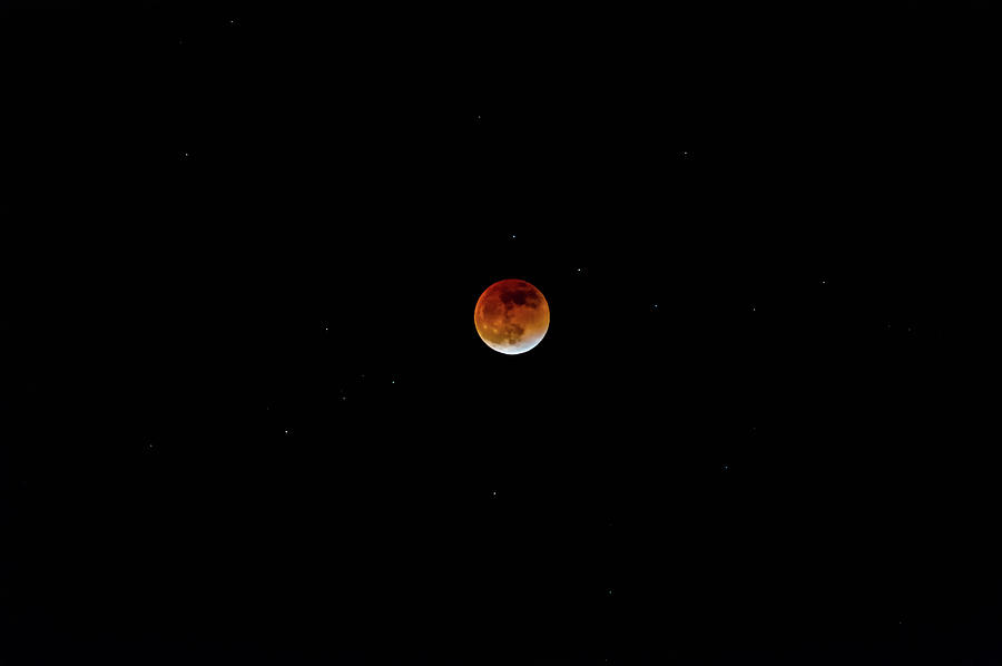Blood/Flower Moon 2022 Photograph by Lee Repass Pixels