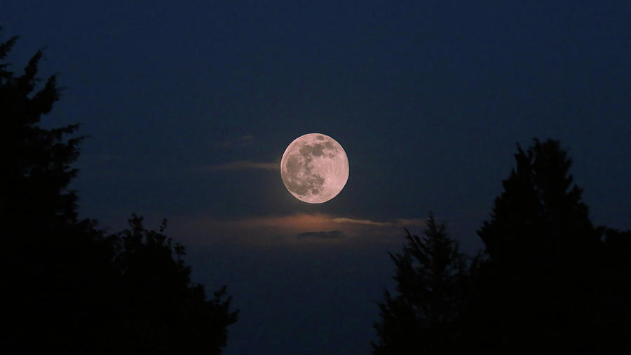 Blood Moon - 04262021 Photograph by Daniel Beard | Fine Art America