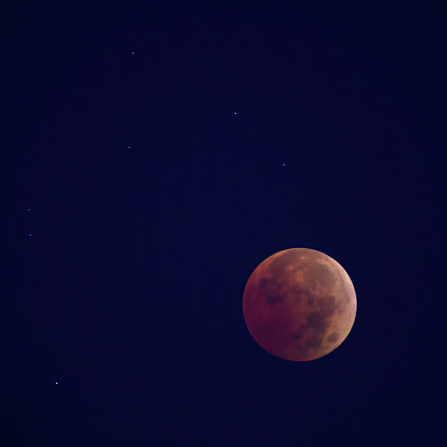 Blood Moon at Totality Photograph by Flinn Hackett