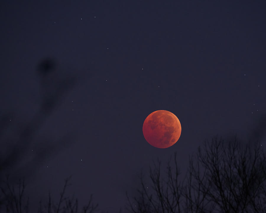 Blood Moon Setting Photograph by Flinn Hackett