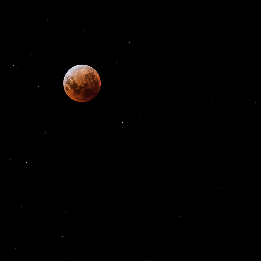 Blood Moon Photograph by Andrew Paranavitana