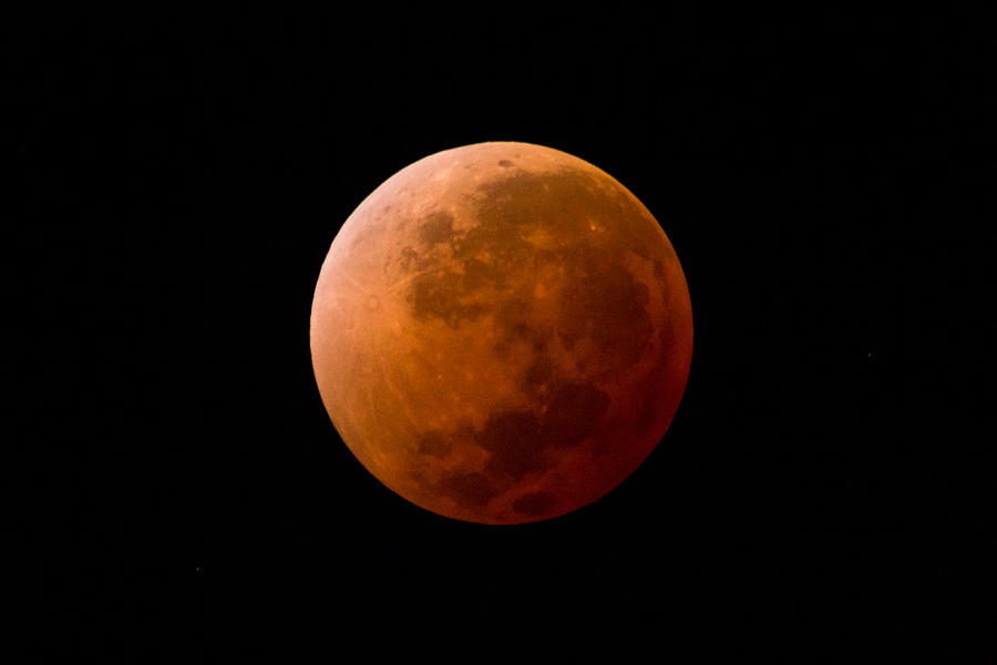 Blood moon, full lunar eclipse, Uruguay, 2014 Photograph by ElOjoTorpe