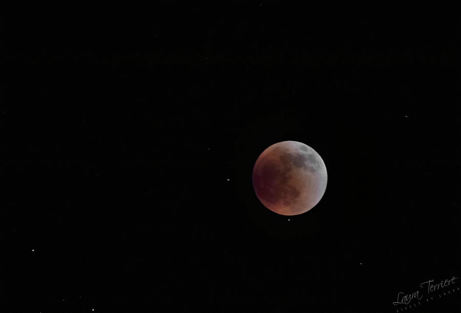 Blood Moon Photograph by Laura Terriere