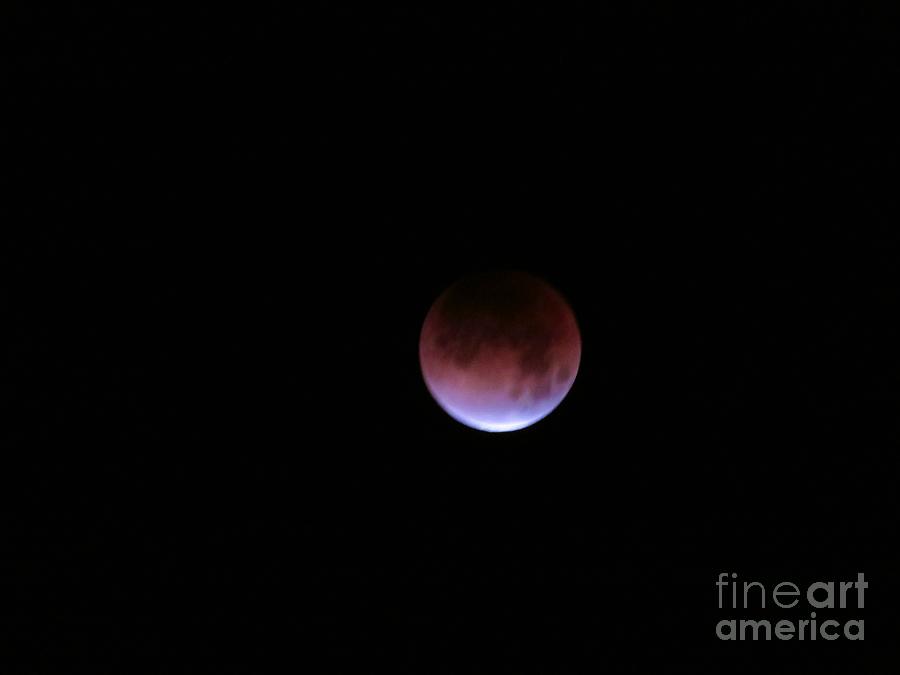 Blood Moon Photograph by Laurie Morgan