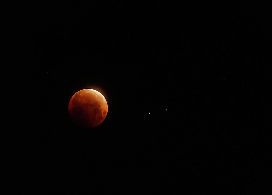 Blood Moon Supermoon Lunar Eclipse Photograph by Lindsay Thomson