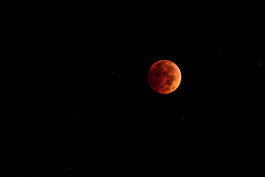 Blood Moon Photograph by Nicole Engstrom