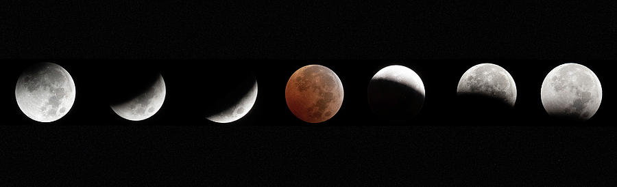 Blood moon eclipse  November 8 2022 Photograph by Nicole Zenhausern