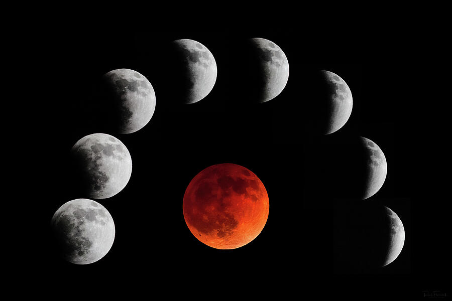 Blood Moon Photograph by Rick Furmanek
