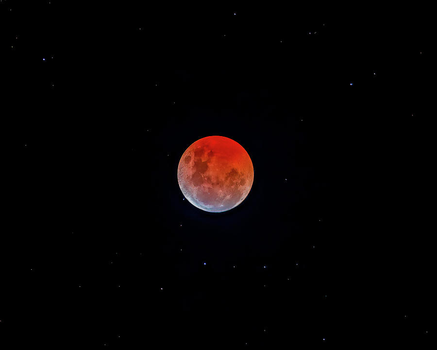 Blood Moon Photograph by Rick Nelson