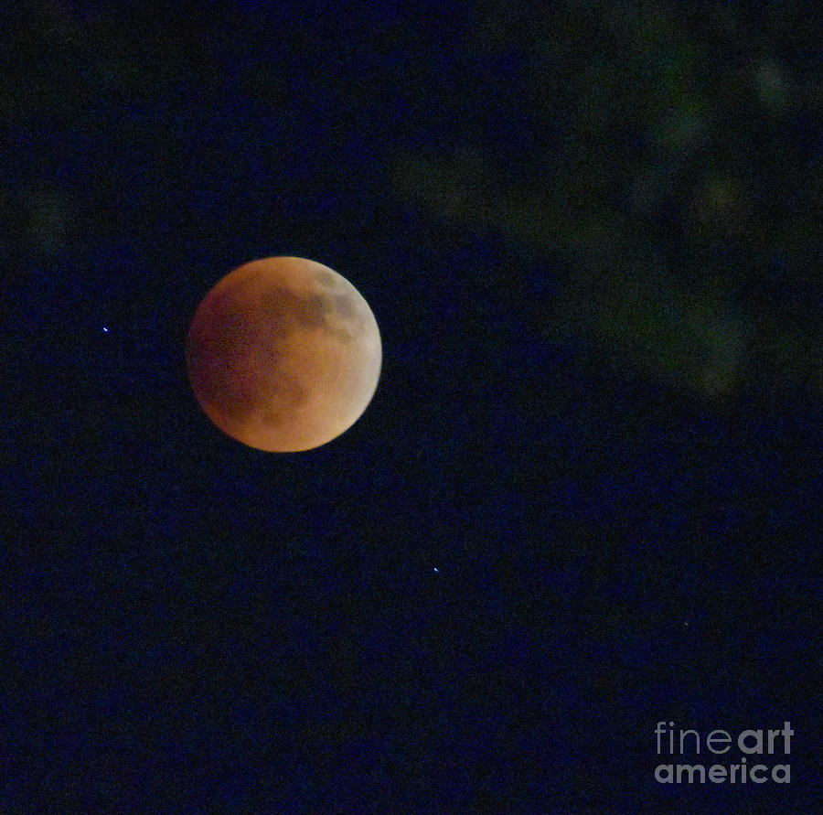 Blood Moon - Square - 2022 Photograph by Linda Brittain