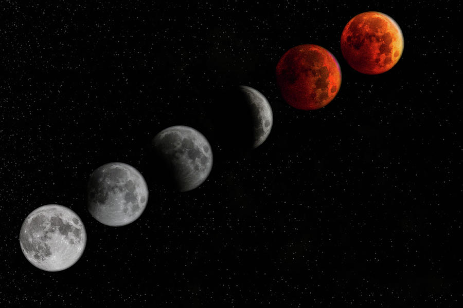 Blood Moon Timelapse Photograph by Nicole Engstrom