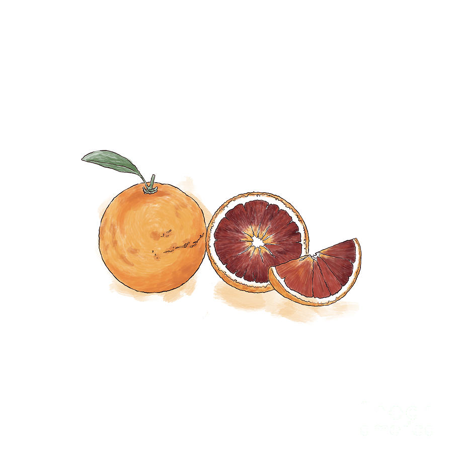 Blood Orange Drawing Digital Art by Danaan Andrew