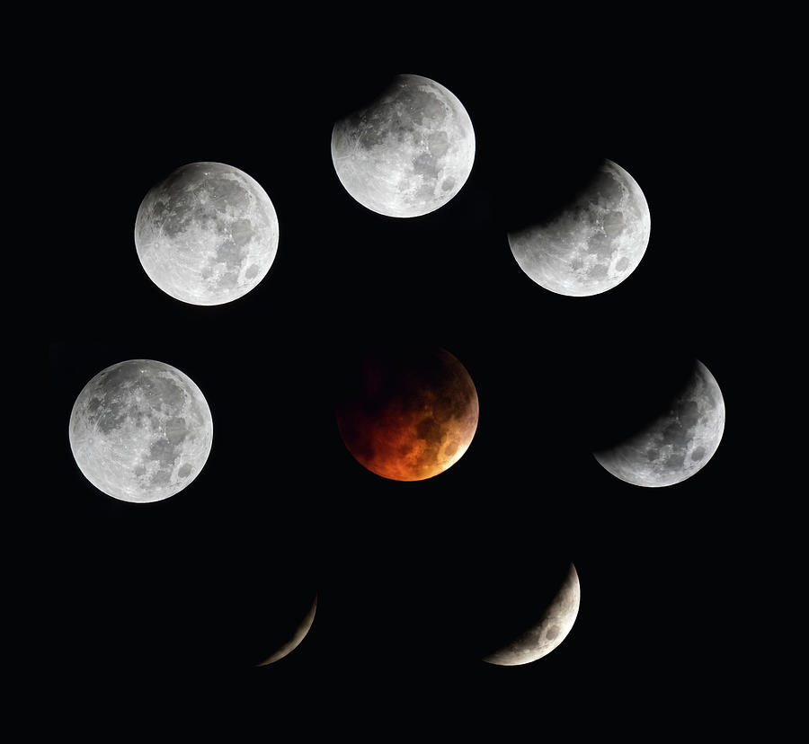 Blood Red Moon Lunar Eclipse Sequence Photograph by Joe Holley