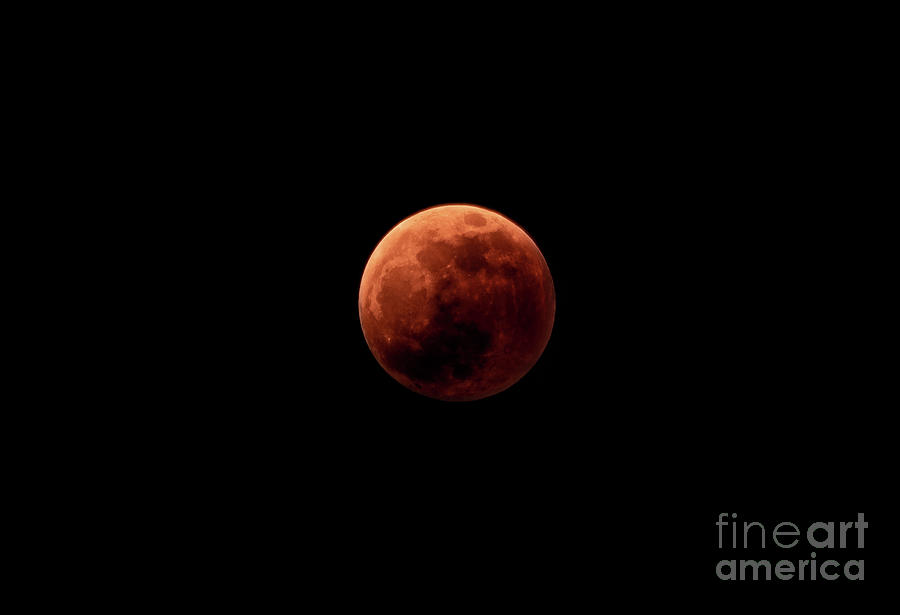 Blood Red Moon Photograph by Matthew Hadway - Fine Art America