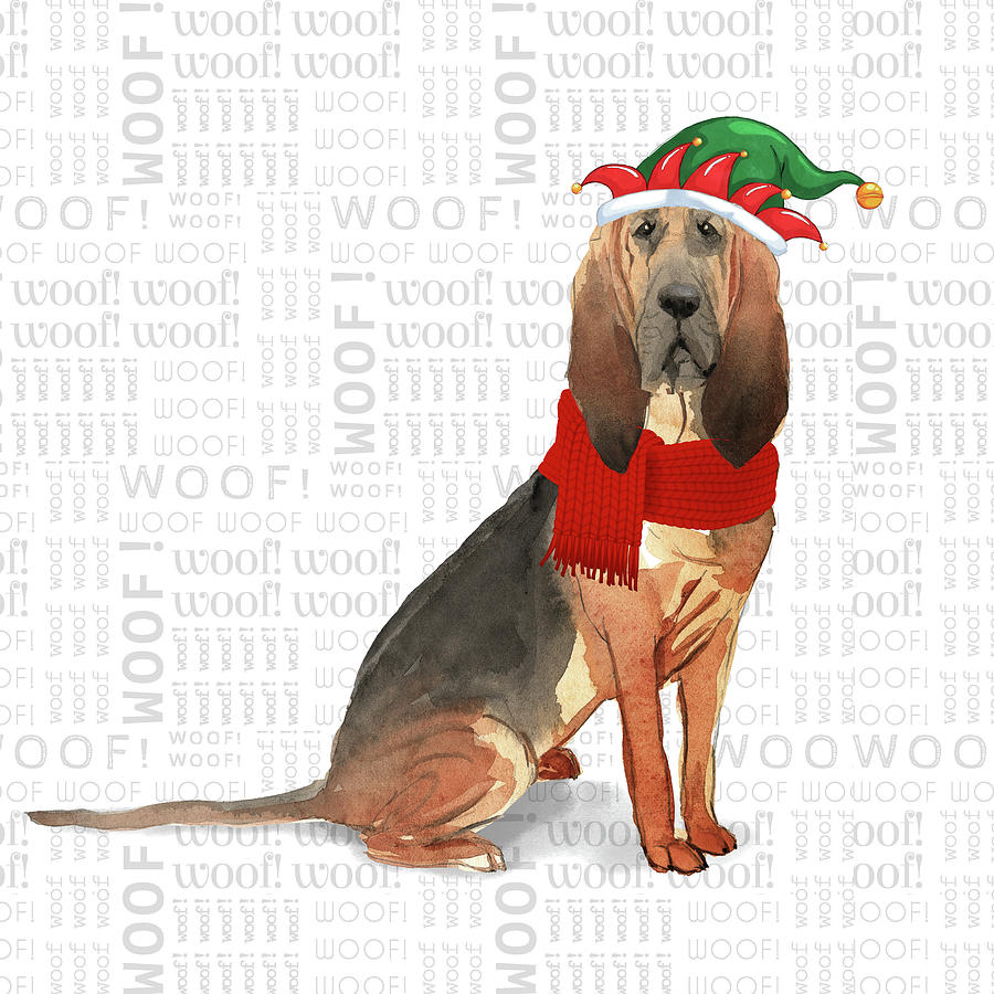 Bloodhound Christmas Dog Digital Art by Doreen Erhardt