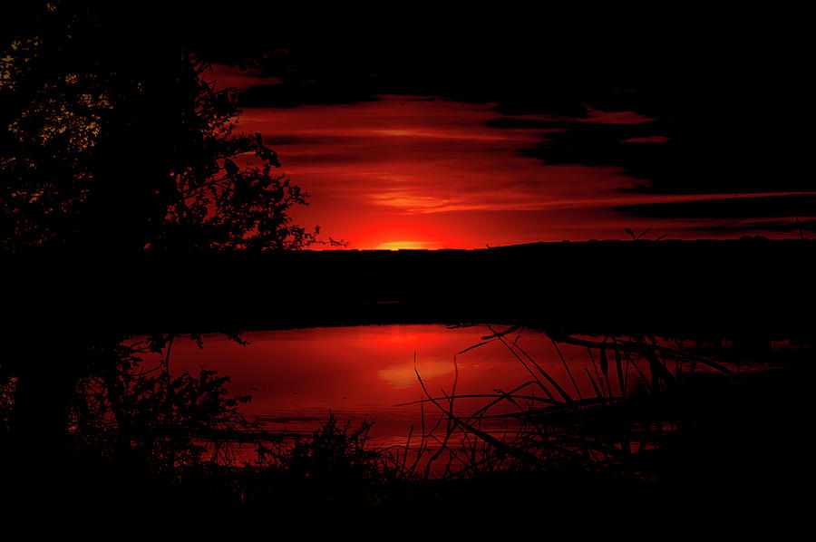 Bloody Sunset Photograph by Eric Hafner