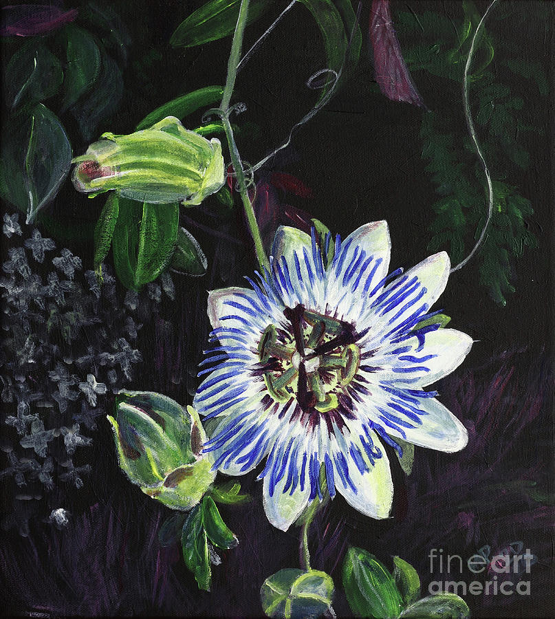 Bloom of the Passion flower Painting by Michal Boubin