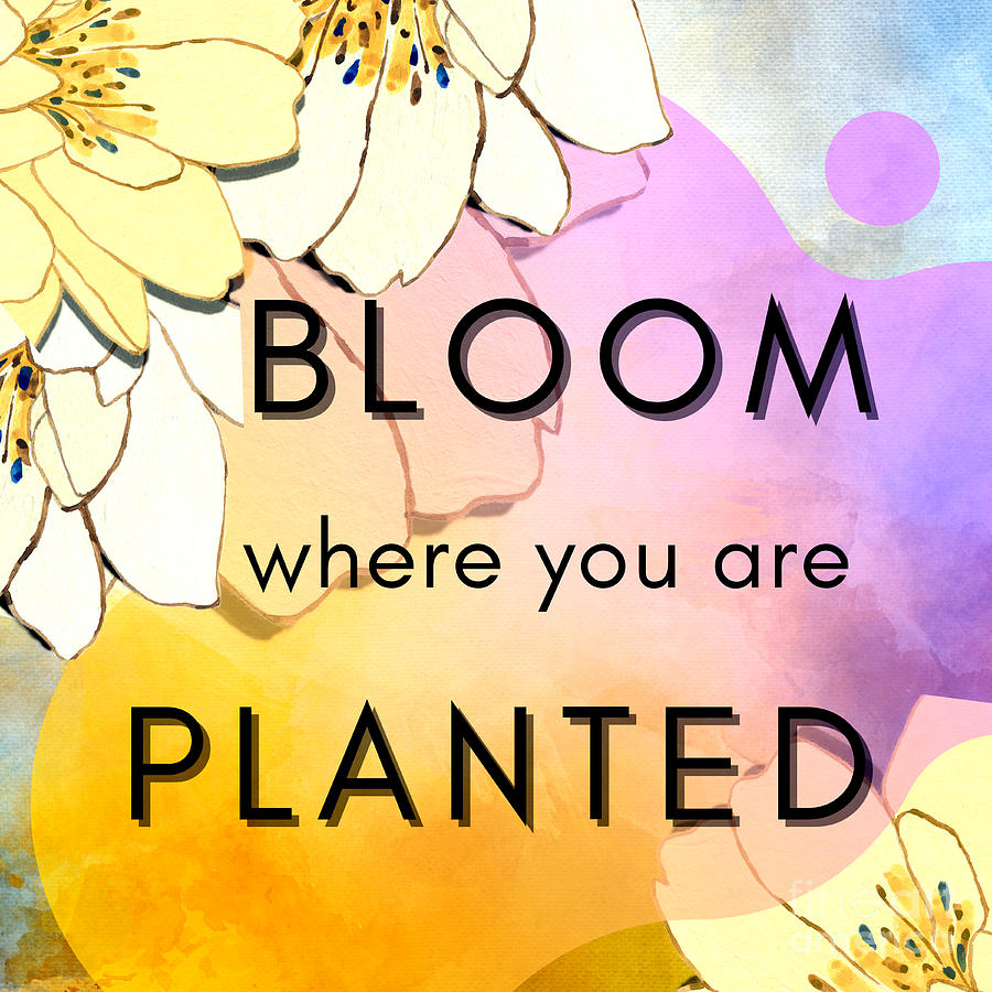 Bloom Where You Are Planted Digital Art by Tina Mitchell - Fine Art America