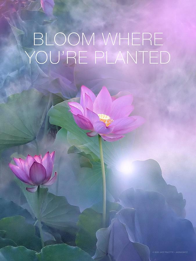 Bloom Where Youre Planted Purple Digital Art by Gail Marten