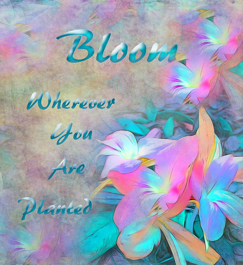 Bloom Wherever You Are Planted Digital Art by Aimee L Maher ALM GALLERY