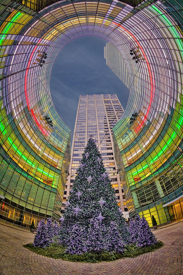 Bloomberg Tower NYC Christmas Tree Photograph by Susan Candelario