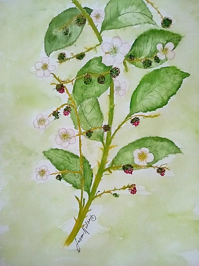 Bloomin Berries Painting by Susan Nielsen