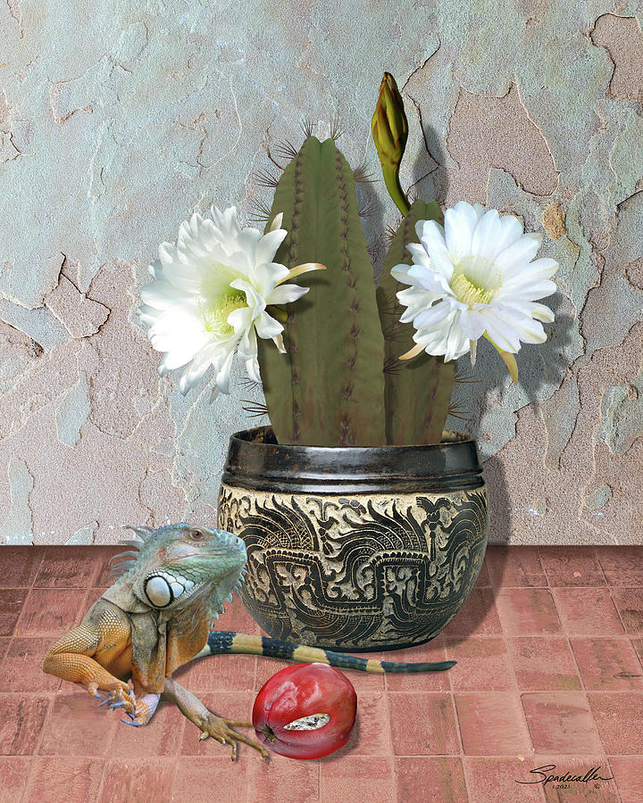 Blooming Cactus and Iguana Digital Art by Spadecaller