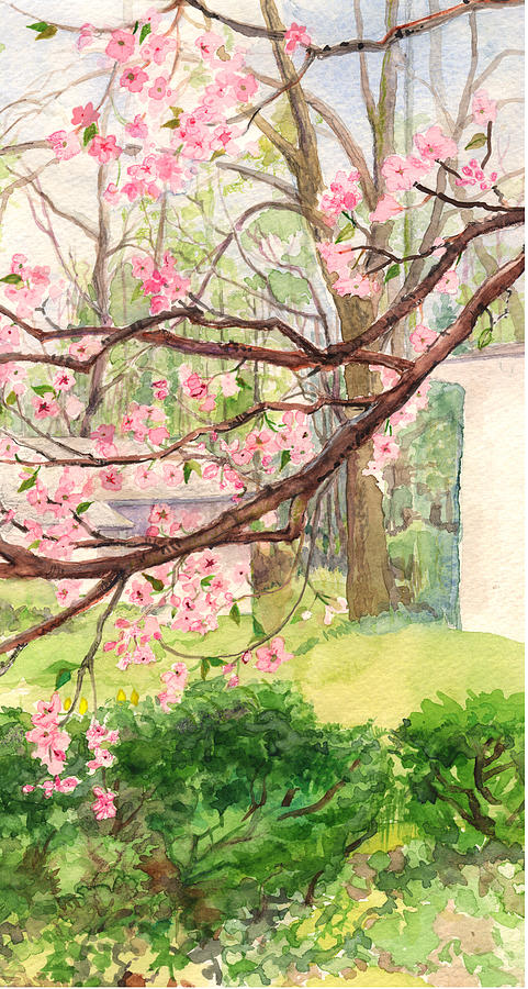 Blooming Cherry Painting by Nancy Watson