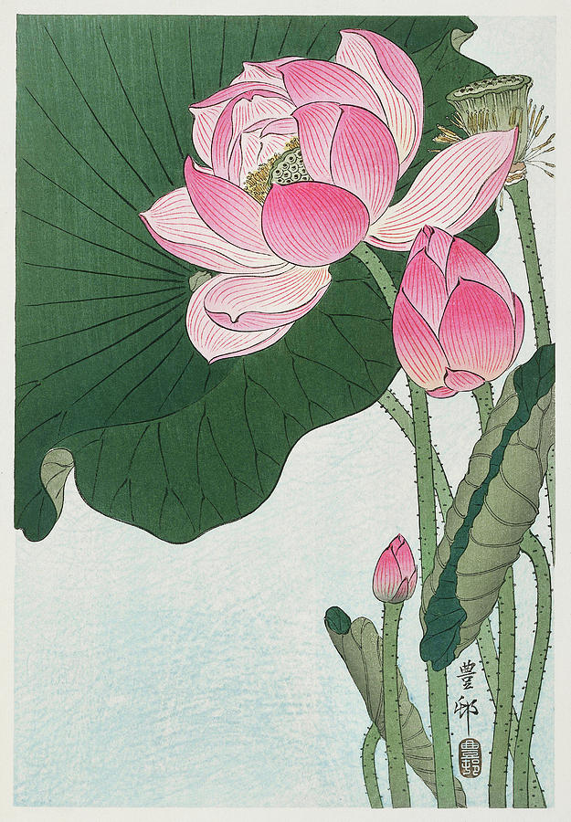 Blooming lotus flowers Painting by MotionAge Designs