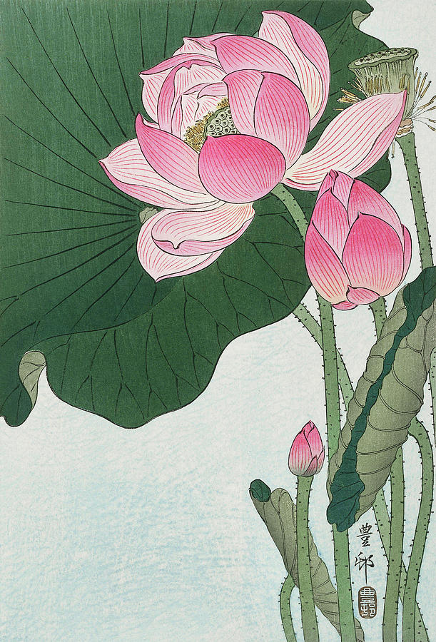 Blooming lotus flowers - Ohara Koson Painting by Aesthetics Store ...