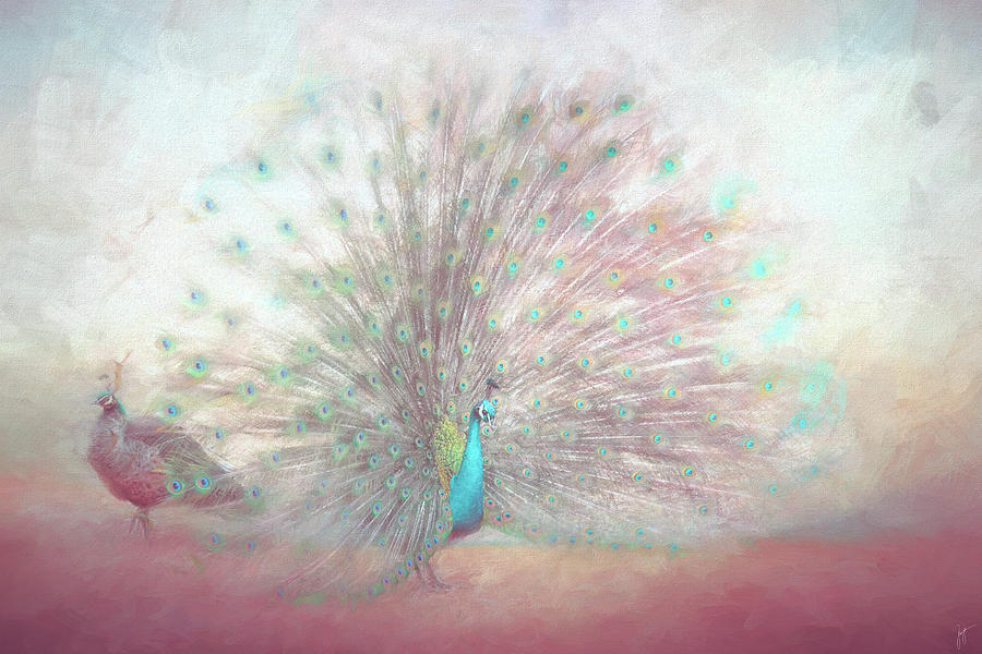 Blooming Peacock in Fuchsia Pink Painting by Jai Johnson