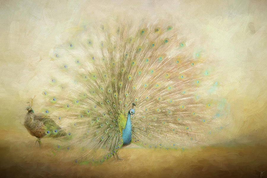 Blooming Peacock in Gold Painting by Jai Johnson