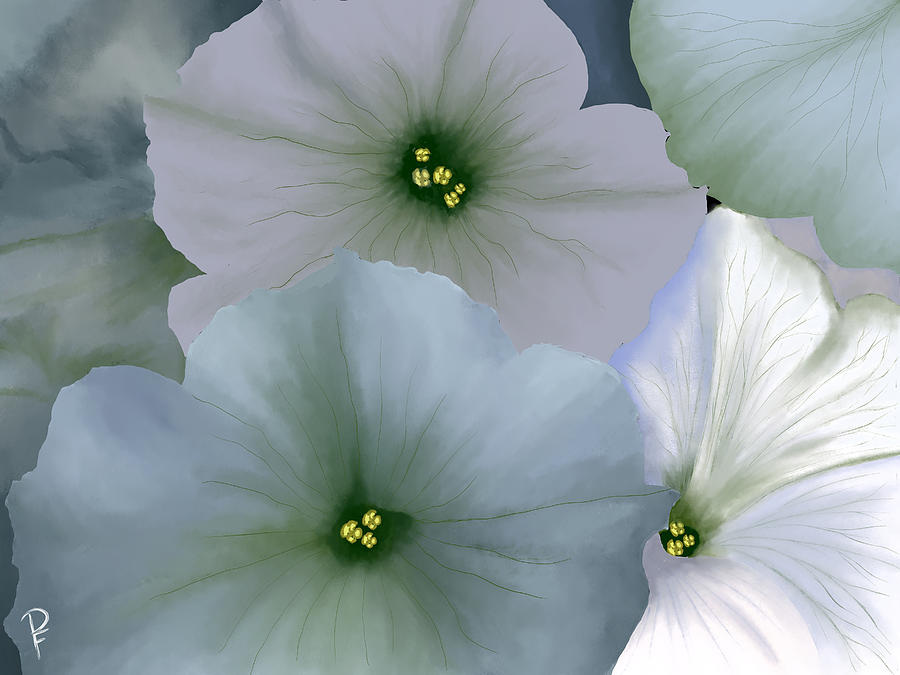 Blooming Petunias Digital Art