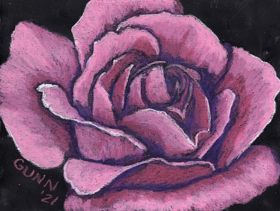 Blooming Pink Rose Drawing by Katrina Gunn