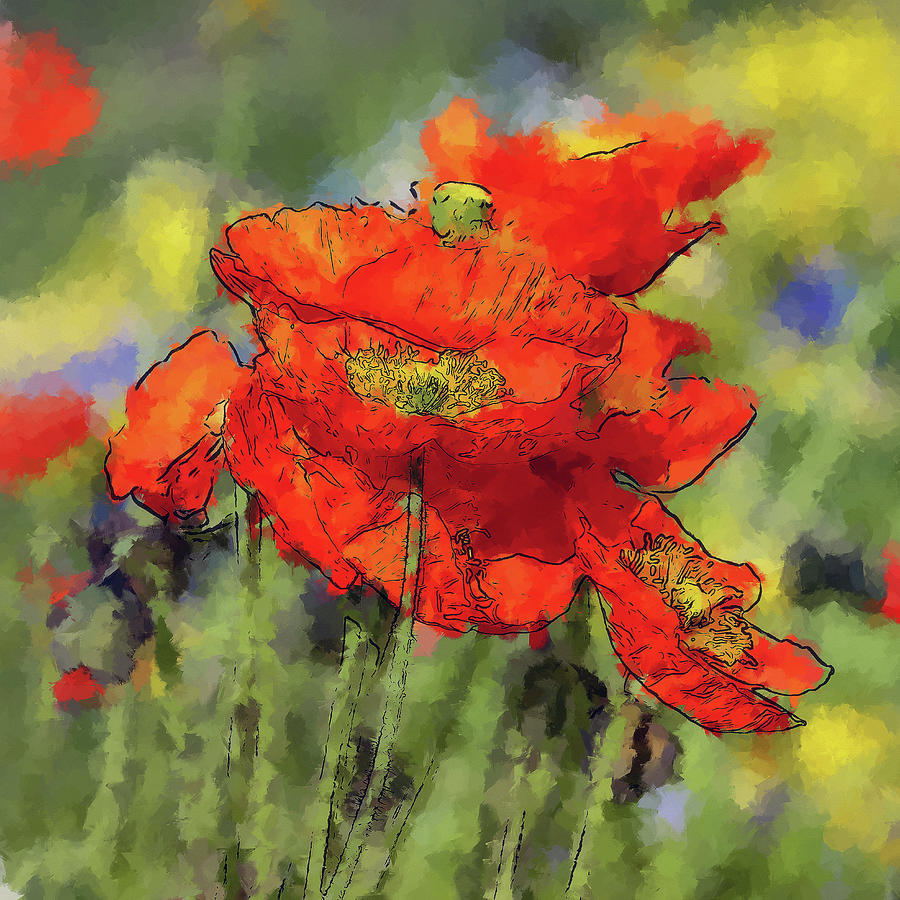 Blooming Poppies Painting by Alex Mir