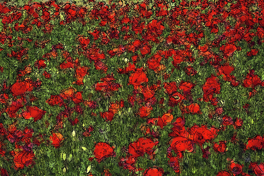 Blooming Poppies Field Painting by Alex Mir
