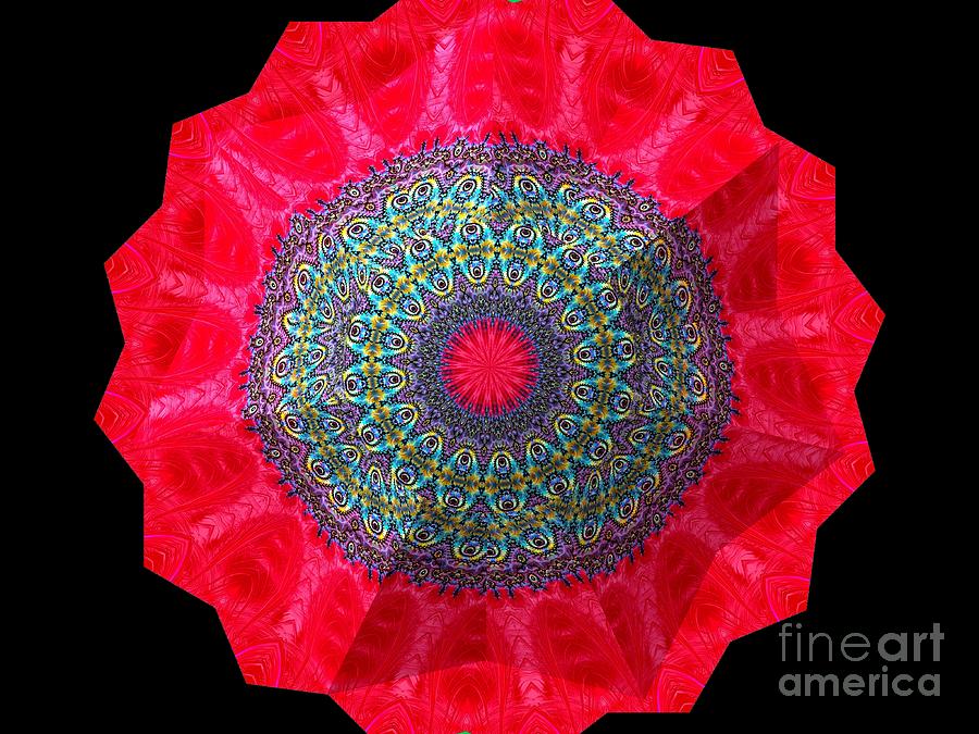 Blooming Poppy Flower Fractal Abstract Kaleidoscope Mandala Digital Art by Rose Santuci-Sofranko