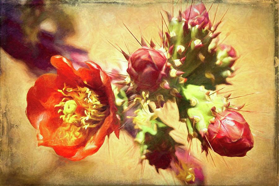 Blooming Prickly Pear Cactus Photograph by Rebecca Herranen