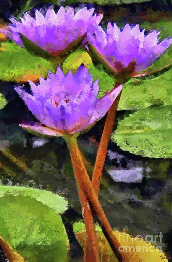 Blooming Purple Lotus Waterlilies Digital Art by Yorgos Daskalakis