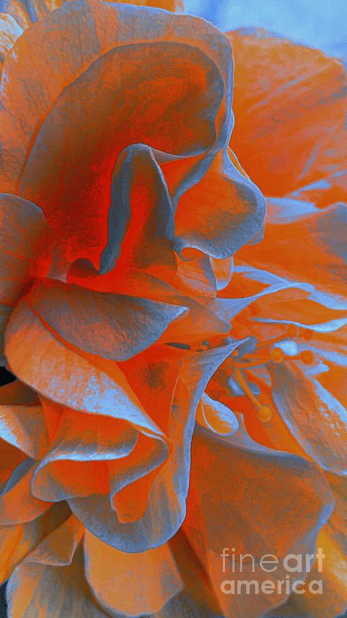 Blooming Sensation  Digital Art by Glenn Hernandez