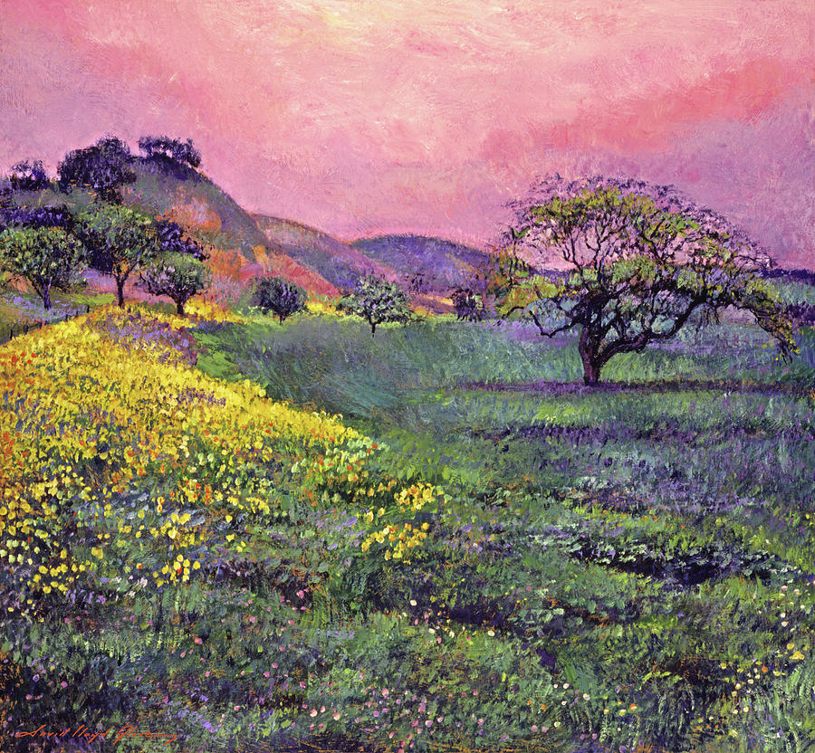 Blooming Wildflower Fields Painting by David Lloyd Glover