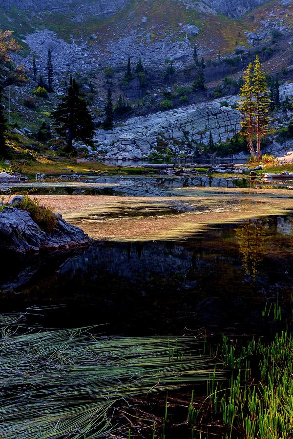 Bloomington Lake Fall Grass Photograph by Jerry Sodorff