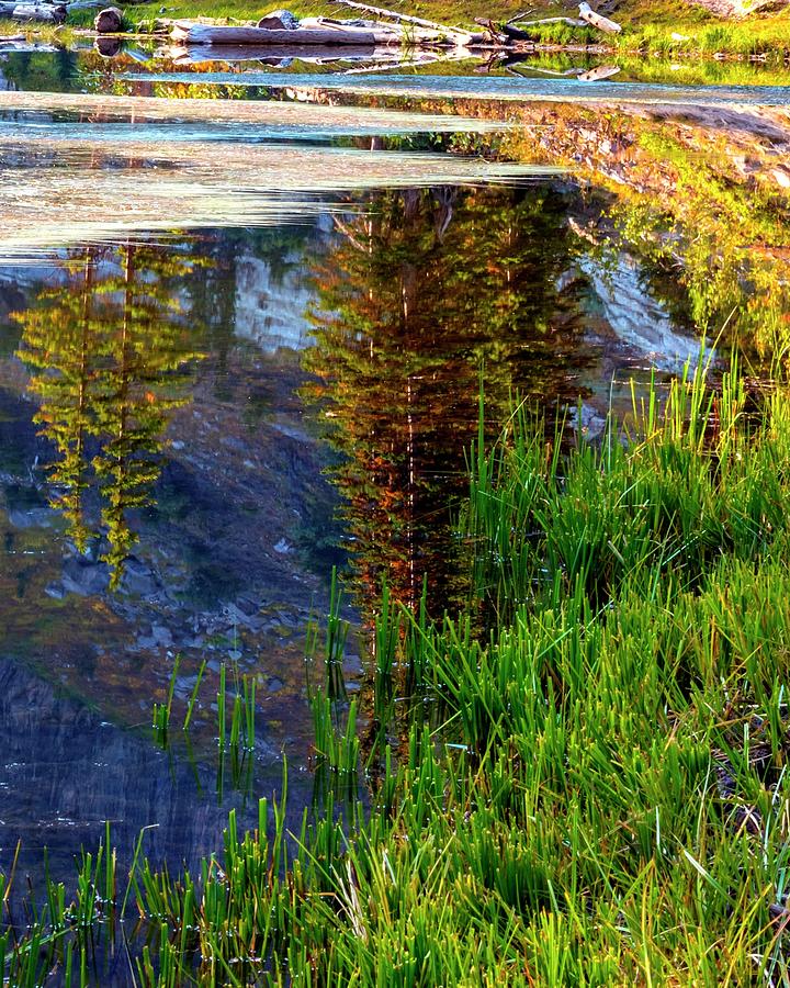 Bloomington Lake Texture Reflection Photograph by Jerry Sodorff