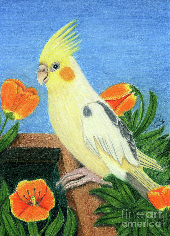 Blooms And Birds Cockatiel Painting by Dorothy Lee
